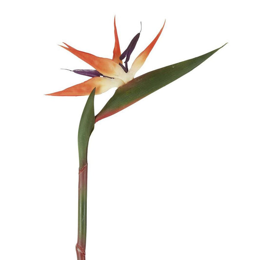 Bird Of Paradise Stem 95Cm