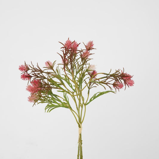 Wild Berry Bundle Dark Pink