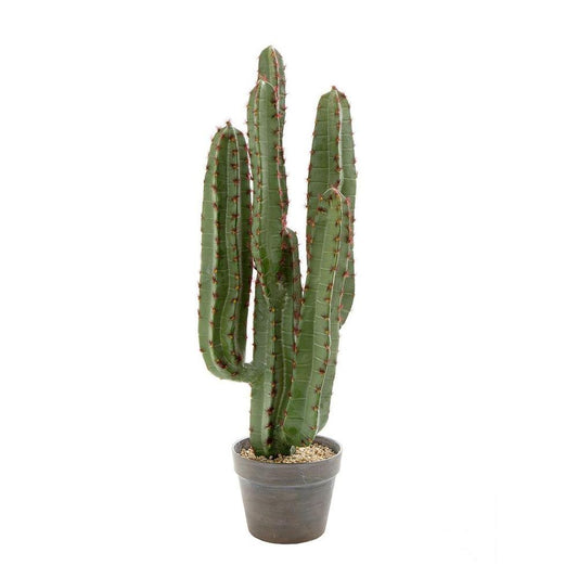 Desert Cactus 82Cm