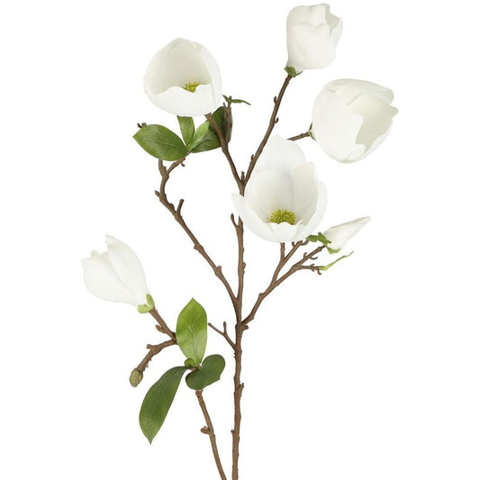 Magnolia Bud Spray 90Cm White
