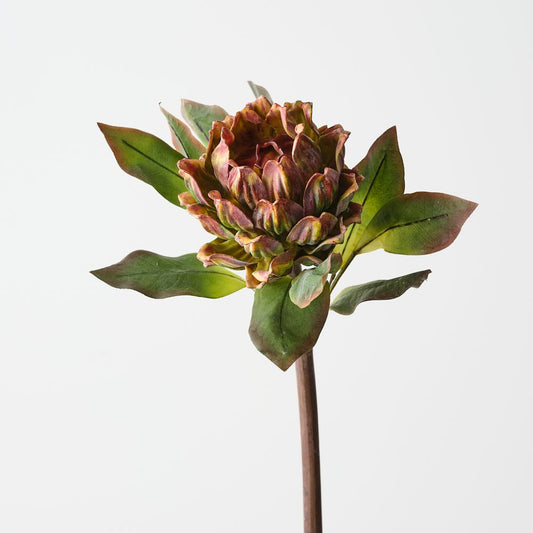 Artichoke Stem -Rich Burgundy-Green - 62cml