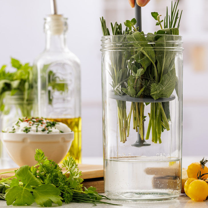 Herb Keeper, 1 Litre