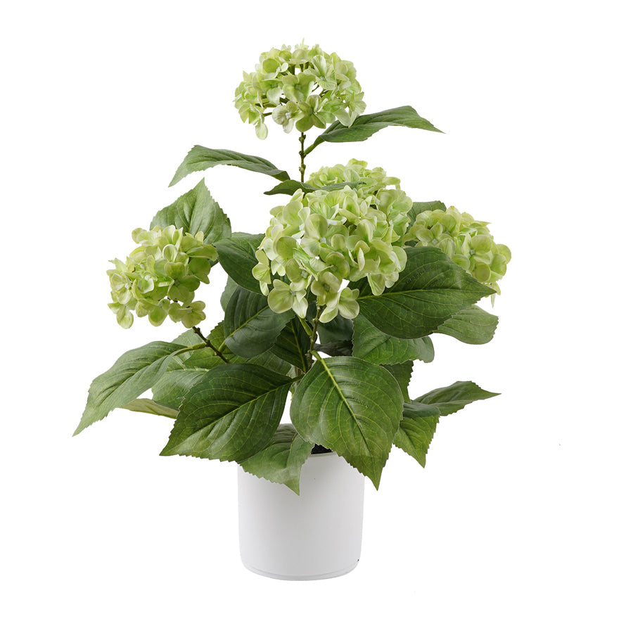 Potted Artificial Green Hydrangea 35x35x50cm