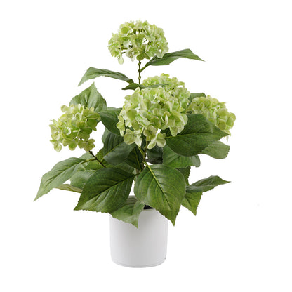 Potted Artificial Green Hydrangea 35x35x50cm