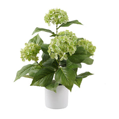 Potted Artificial Green Hydrangea 35x35x50cm