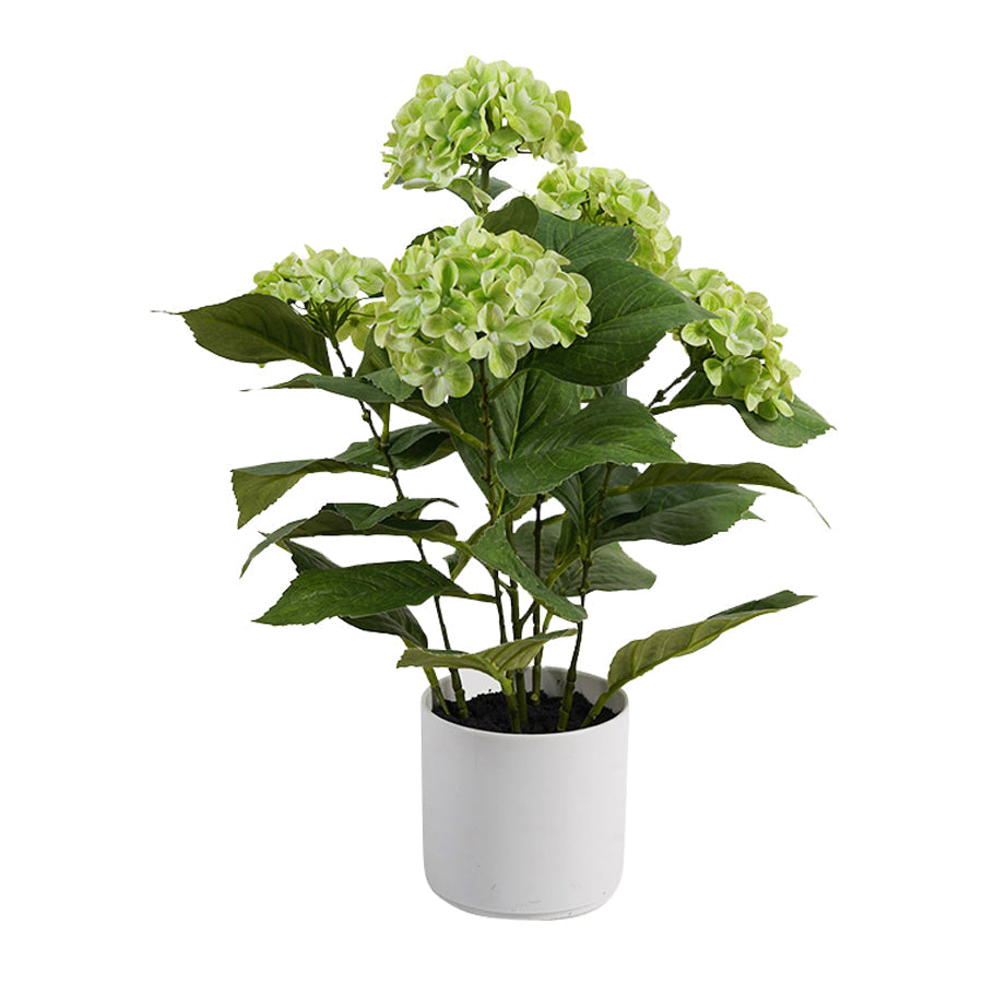 Potted Artificial Green Hydrangea 35x35x50cm