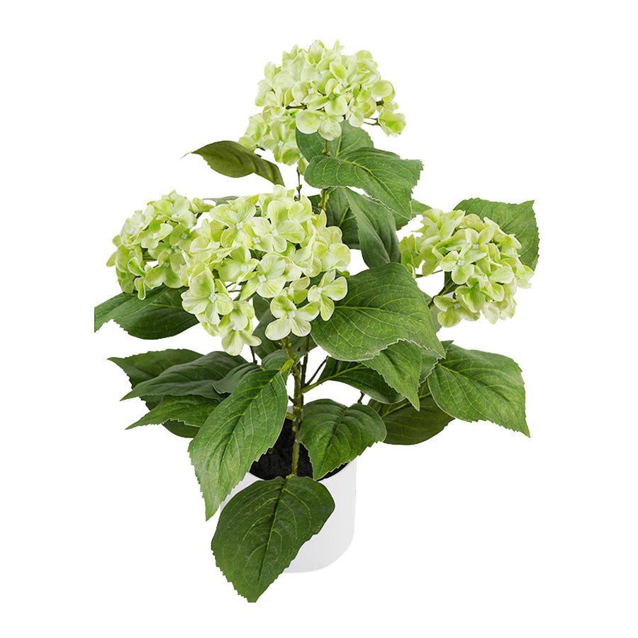 Potted Artificial Green Hydrangea 35x35x50cm