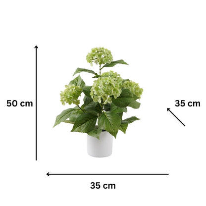 Potted Artificial Green Hydrangea 35x35x50cm