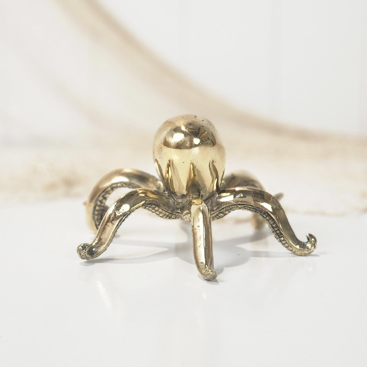 Octopus -Shiny #4915