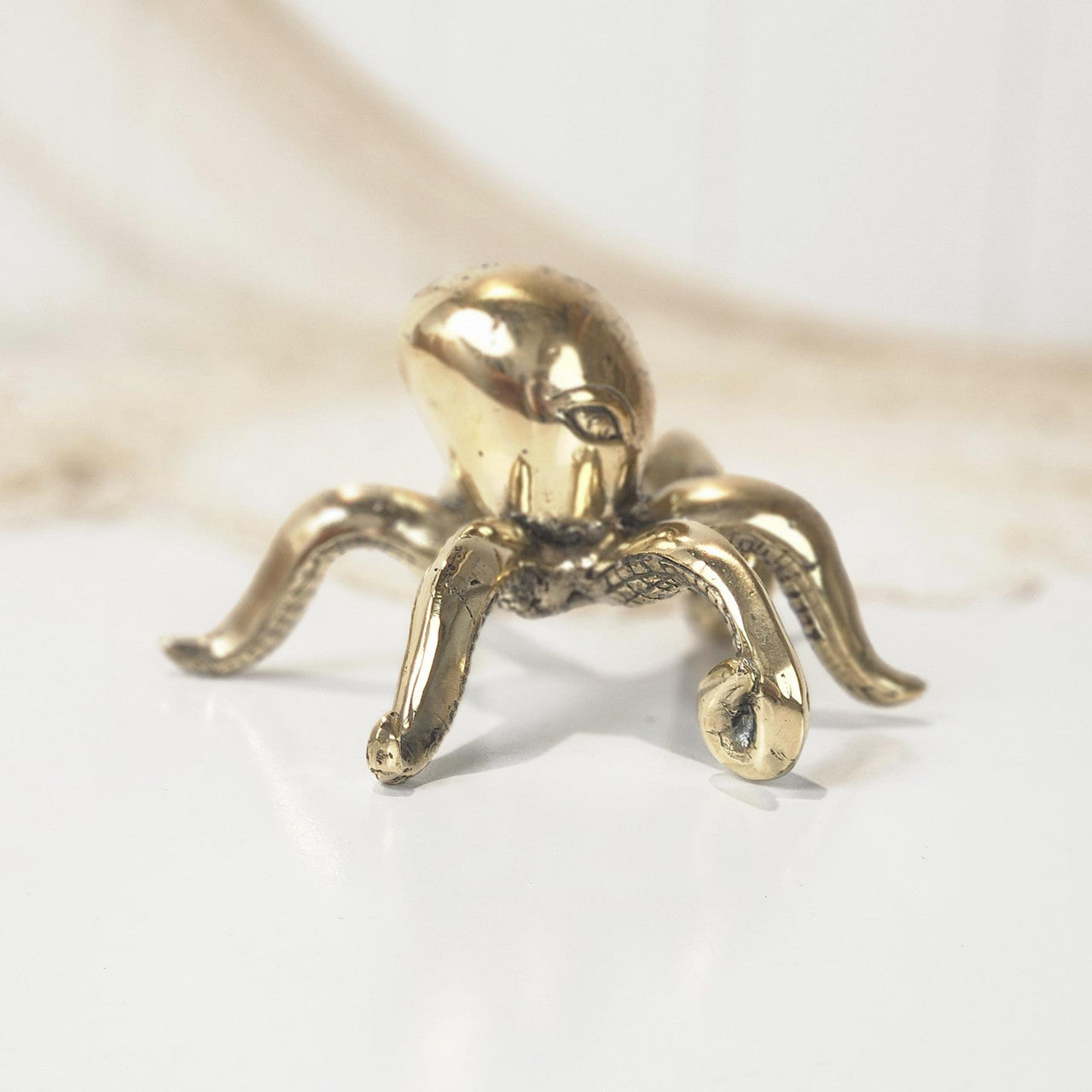 Octopus -Shiny #4915