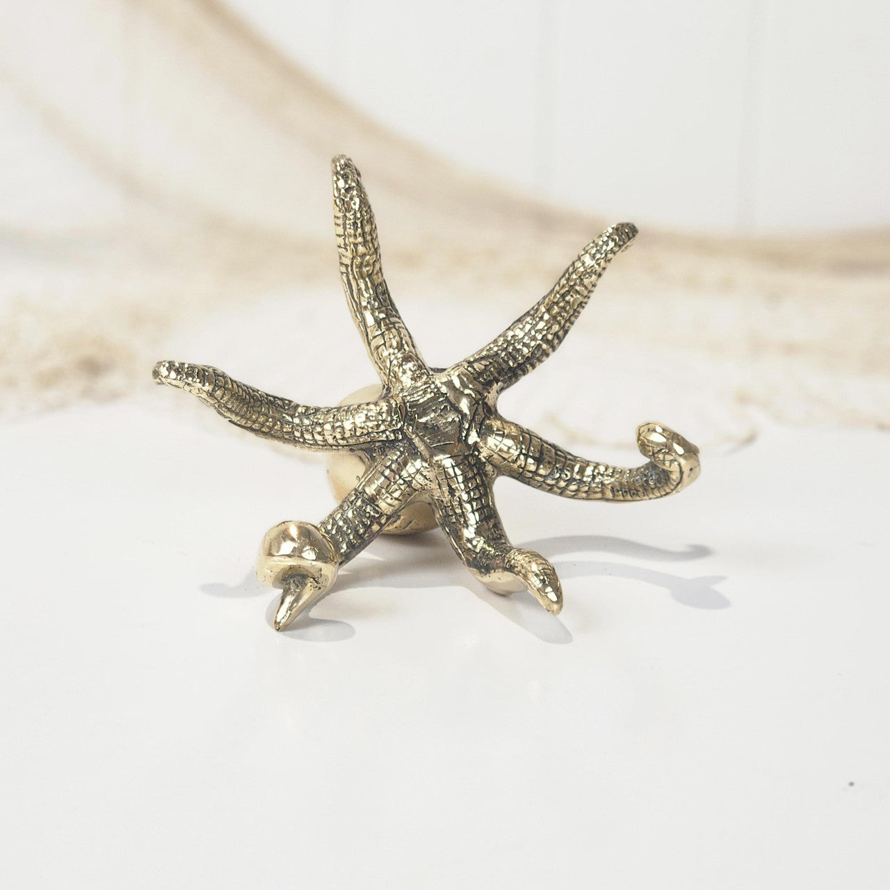 Octopus -Shiny #4915