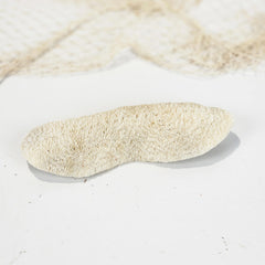 Mushroom Coral #4994