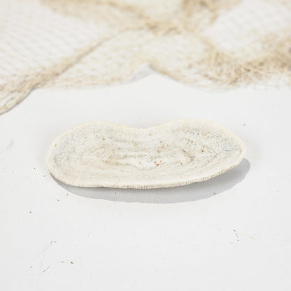 Mushroom Coral #4994