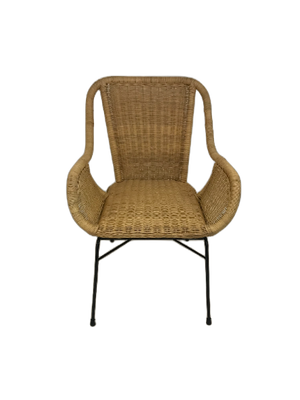 Palmview Rattan Armed Dining Chair