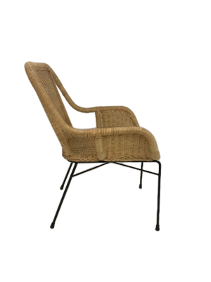 Palmview Rattan Armed Dining Chair