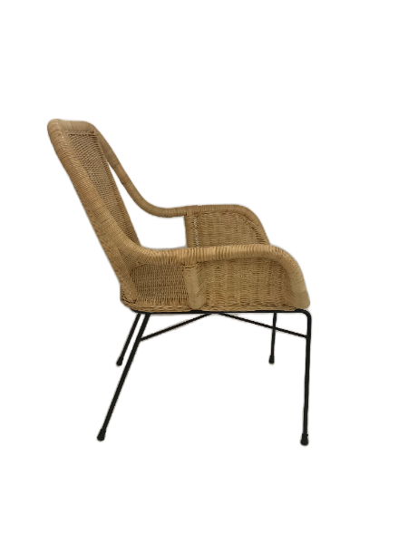 パームビュー ラタンアーム付きダイニングチェア