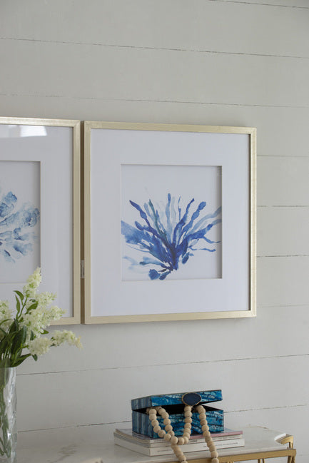 Set Of 2 Blue Coral Framed Prints. Add A Coastal Feel