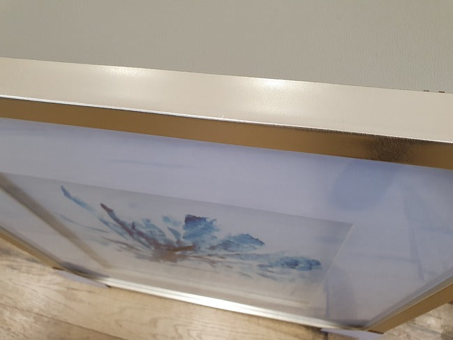 Set Of 2 Blue Coral Framed Prints. Add A Coastal Feel