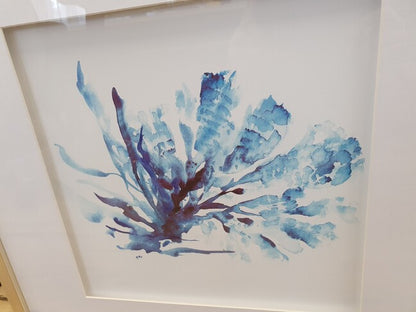 Set Of 2 Blue Coral Framed Prints. Add A Coastal Feel