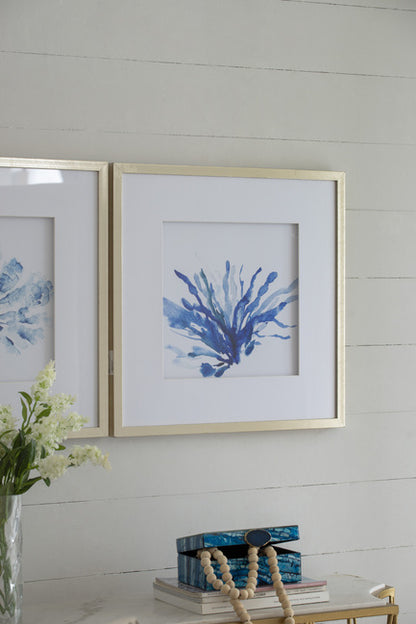 Set Of 2 Blue Coral Framed Prints. Add A Coastal Feel