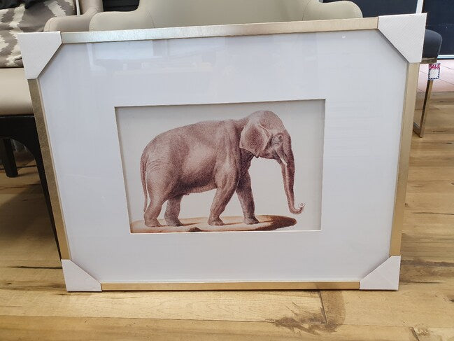 Set Of 2 Elephant Framed Prints. Adult Elephant Framed Prints. Quality Frames. Ready To Hang.