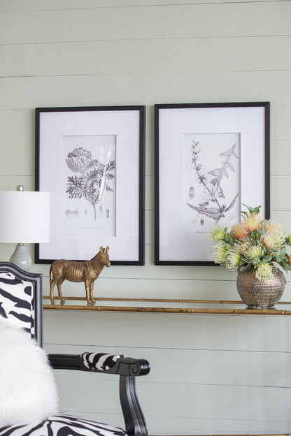 Set Of 4 Flora & Fauna Framed Prints Behind Glass