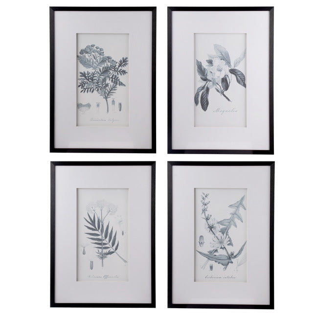 Set Of 4 Flora & Fauna Framed Prints Behind Glass