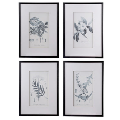 Set Of 4 Flora & Fauna Framed Prints Behind Glass