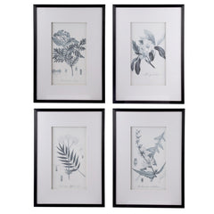 Set Of 4 Flora & Fauna Framed Prints Behind Glass