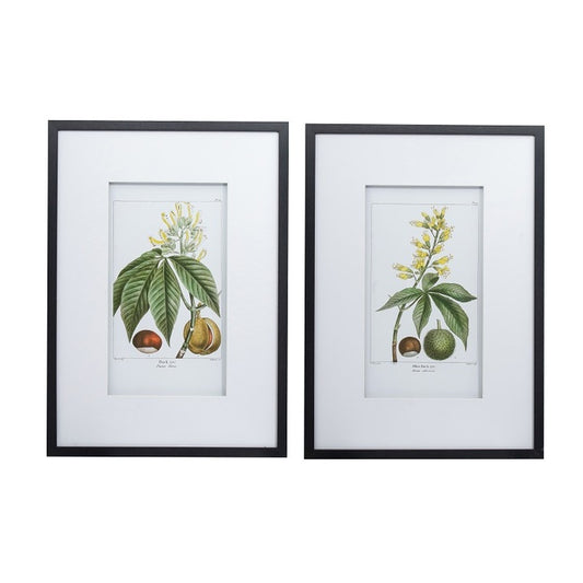 Leaves Flowers & Fruit set of 2 Wall Art