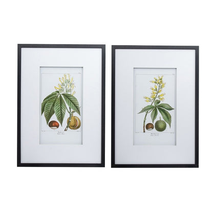 Leaves Flowers & Fruit Set Of 2 Wall Art