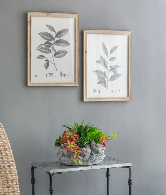 Botanical Wall Décor set of 4