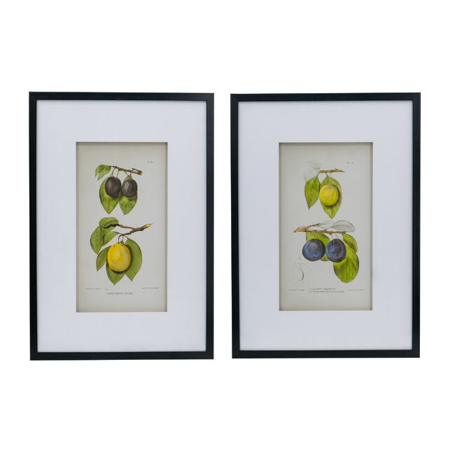 Botanical Wall Décor Set Of 2