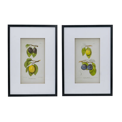 Botanical Wall Décor Set Of 2