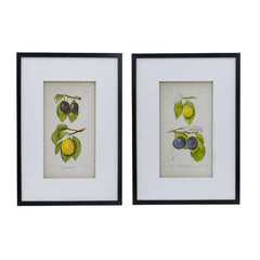 Botanical Wall Décor Set Of 2