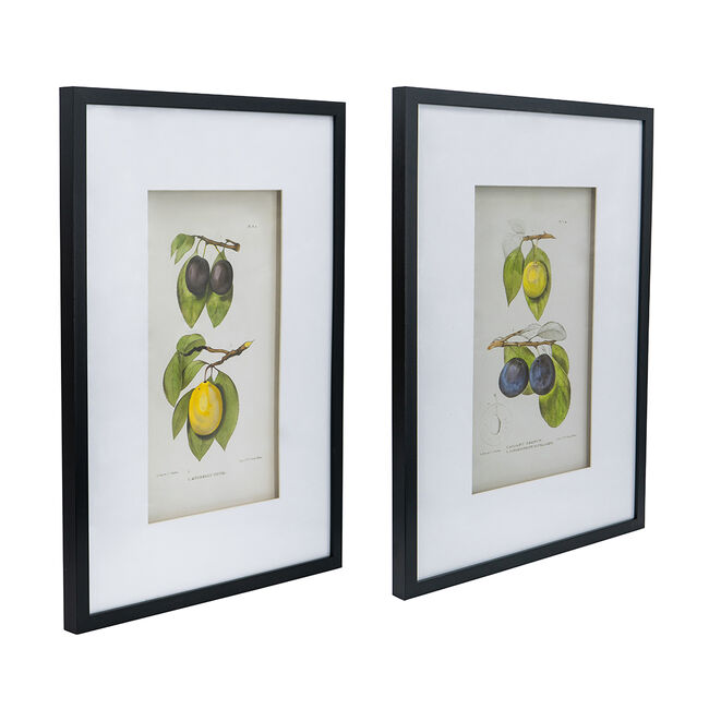 Botanical Wall Décor Set Of 2