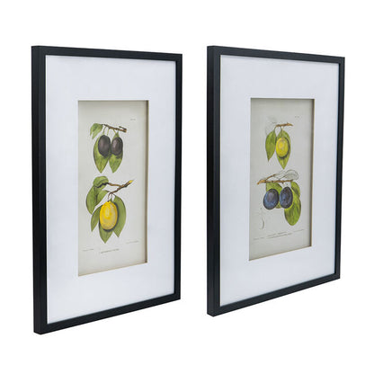 Botanical Wall Décor Set Of 2