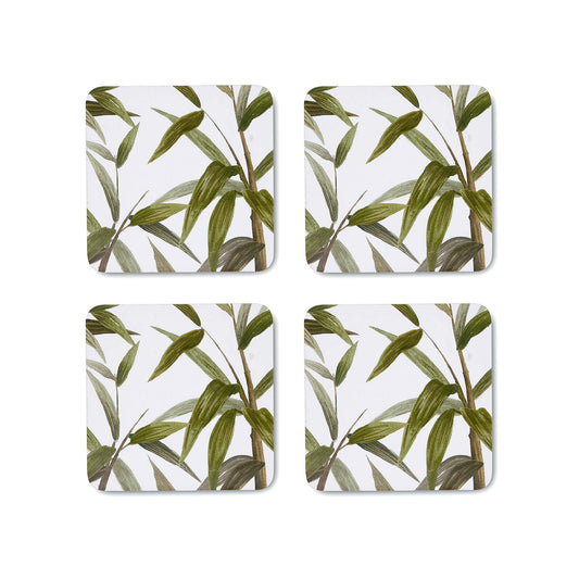 Bamboo Grove Square Coaster - Set Of 4