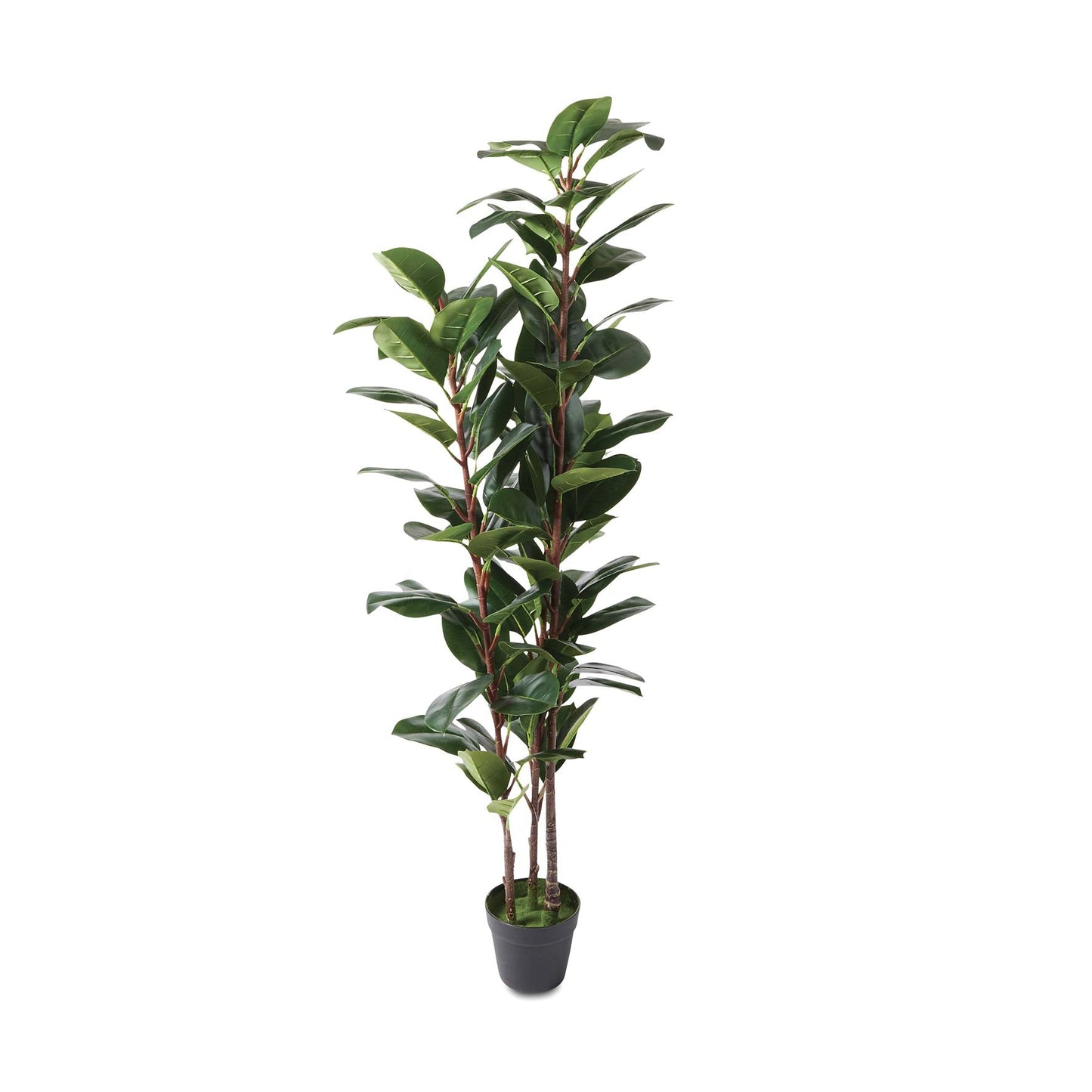 Rubber Tree Artificial Plant
