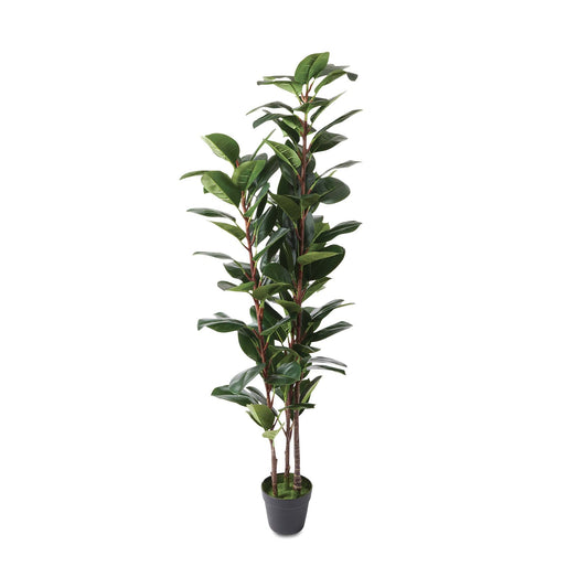 Rubber Tree Artificial Plant