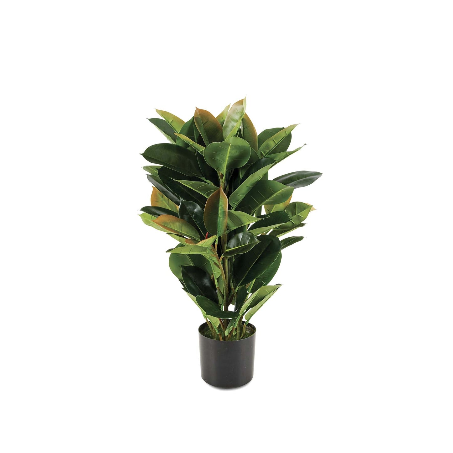 Rubber Tree Artificial Plant