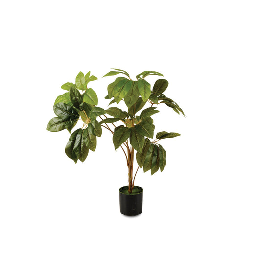 Schefflera Artificial Plant