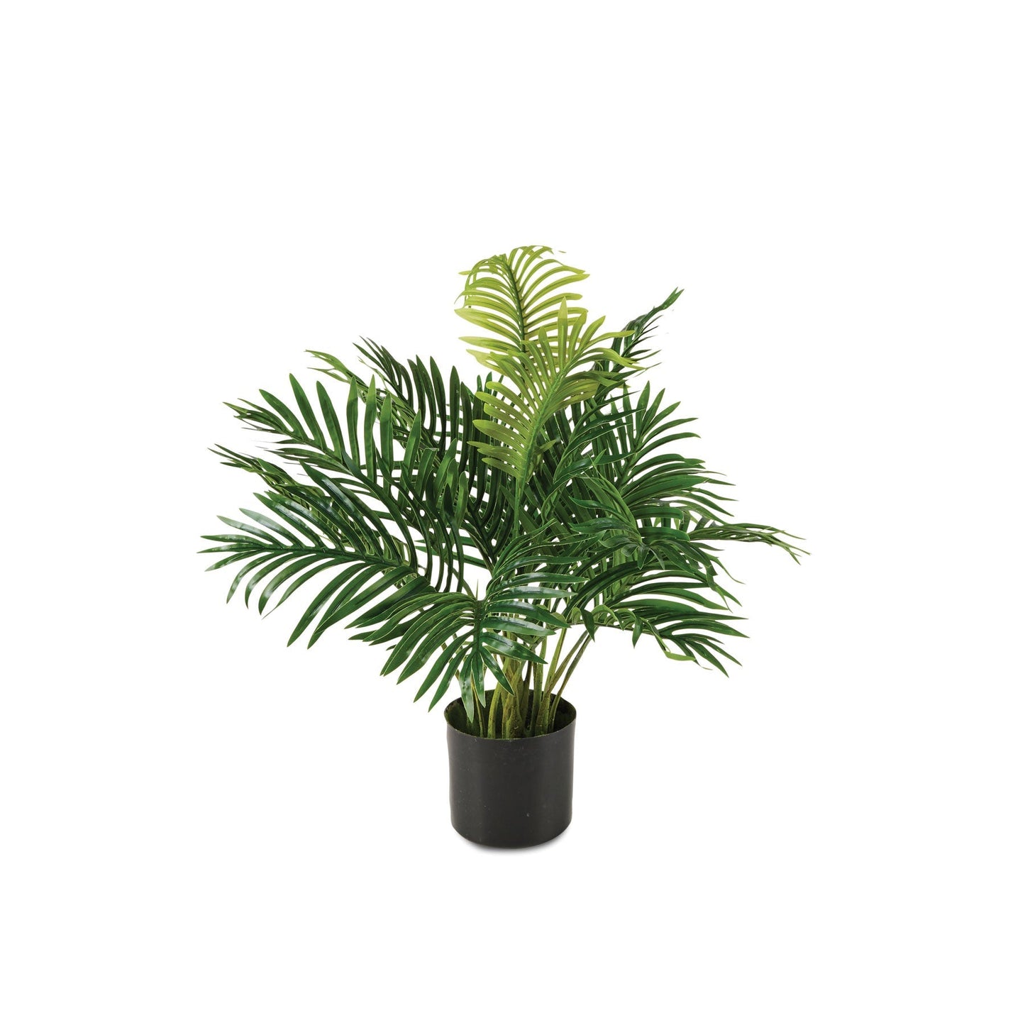Areca Palm, Artificial Plant