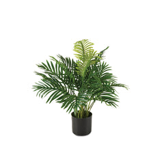 Areca Palm, Artificial Plant