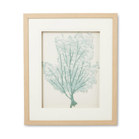 Coral Aqua Artwork