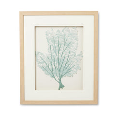 Coral Aqua Artwork