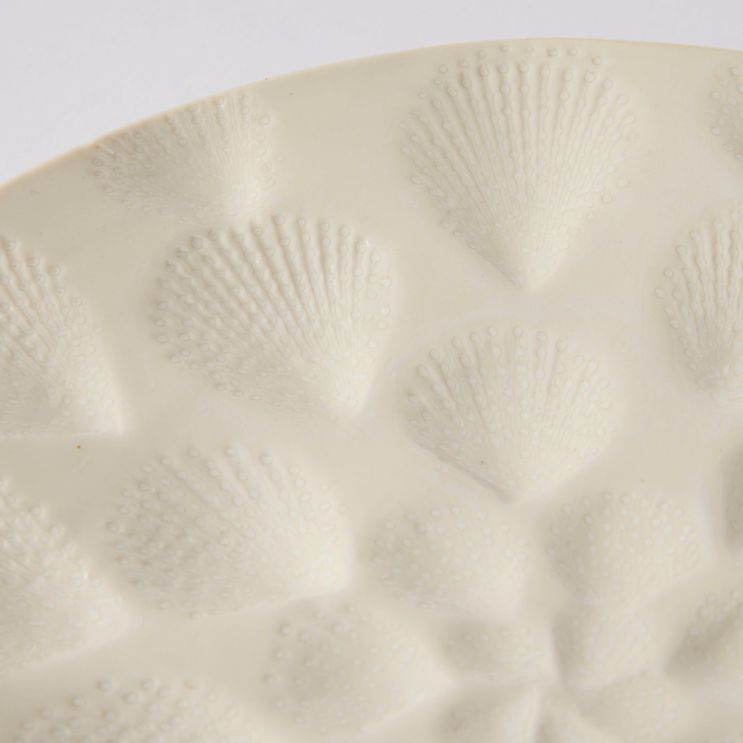 Nautilus White Small Plate