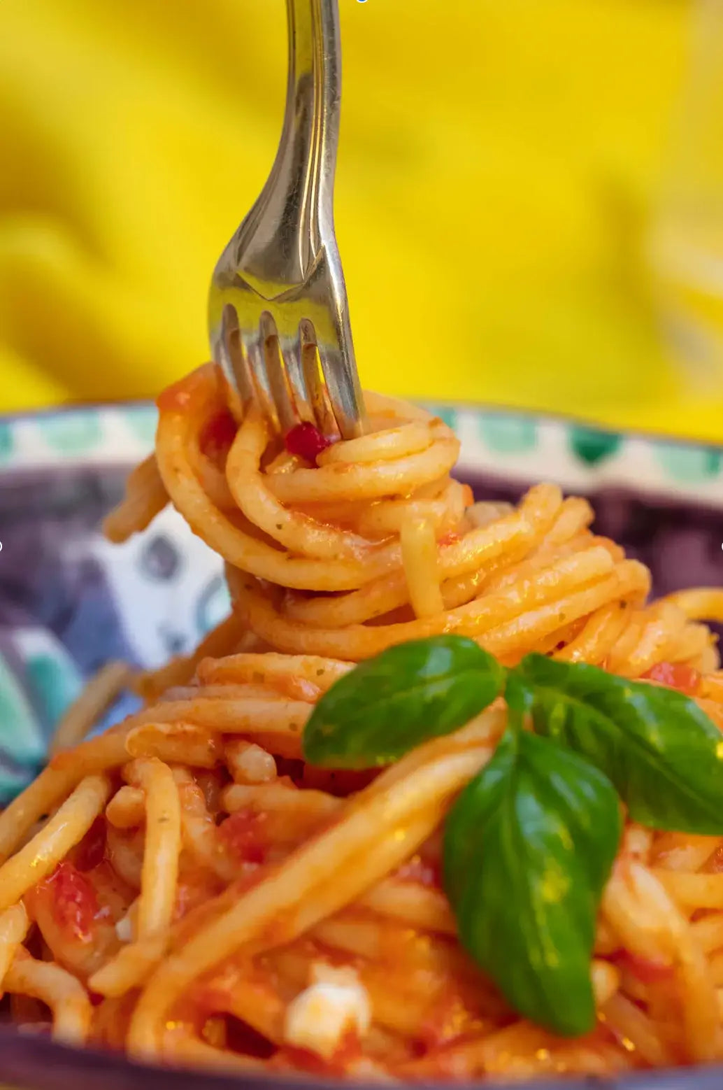 Italians Do It Better Spaghet