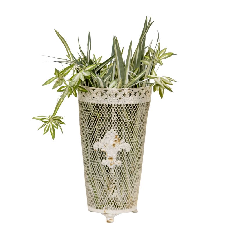 French Provinicial Dry-Flower Vase w/Fleur-de-lis 18x18x33.5cm