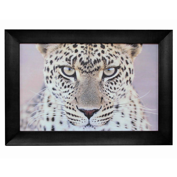 Leopard Portrait Wall Art 110X80Cmh. African-Themed Artwork. Solid Hardwood Frame. High Quality Appearance.
